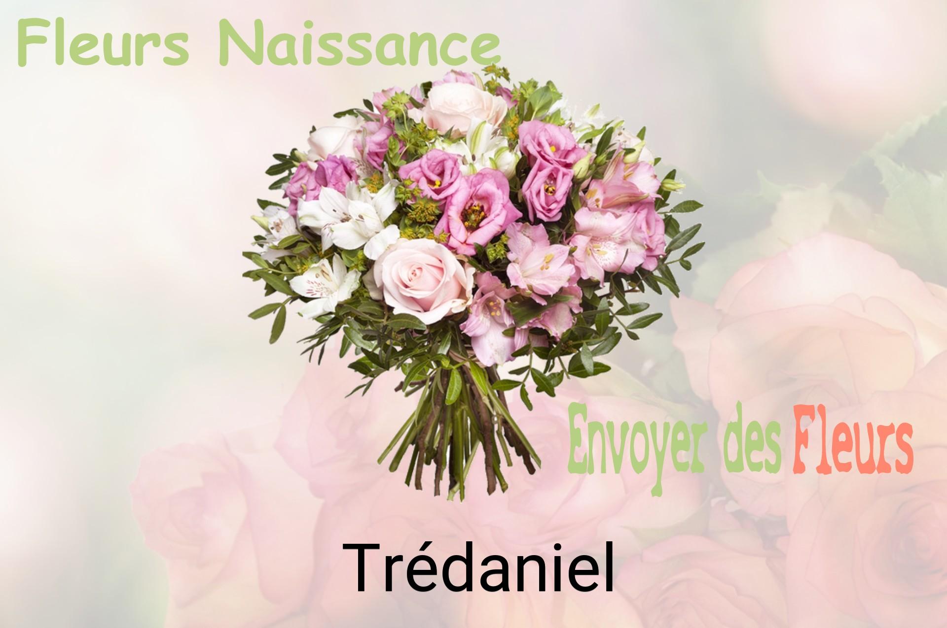 Bouquet de fleurs de naissance livré à Trédaniel