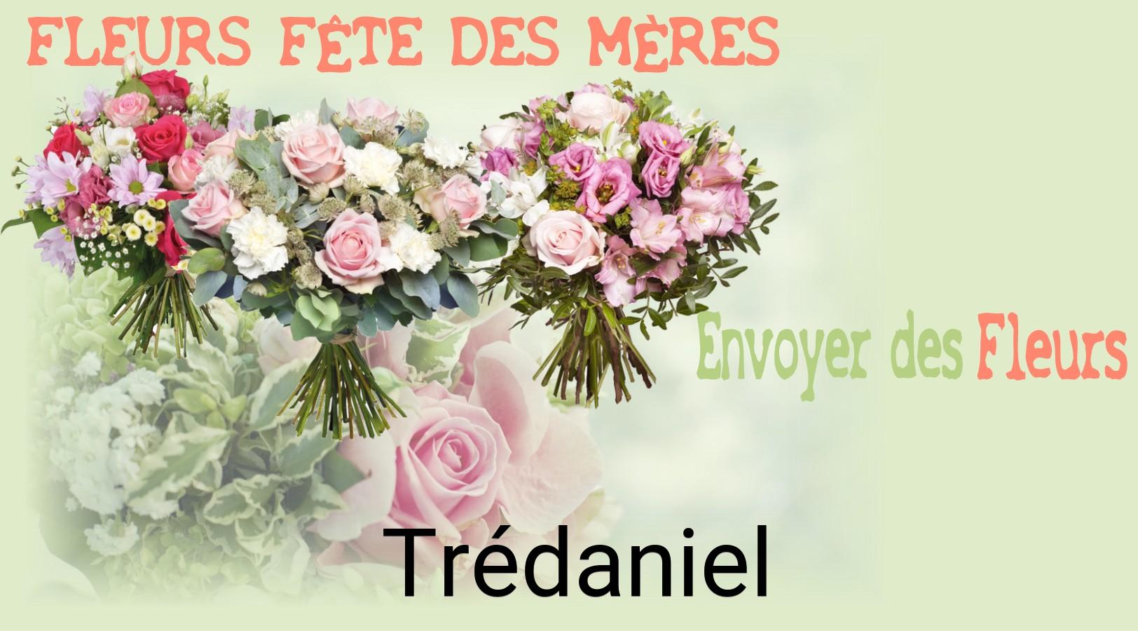 Bouquet de Fête des Mères livré à Trédaniel